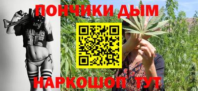 гидропоника Краснознаменск