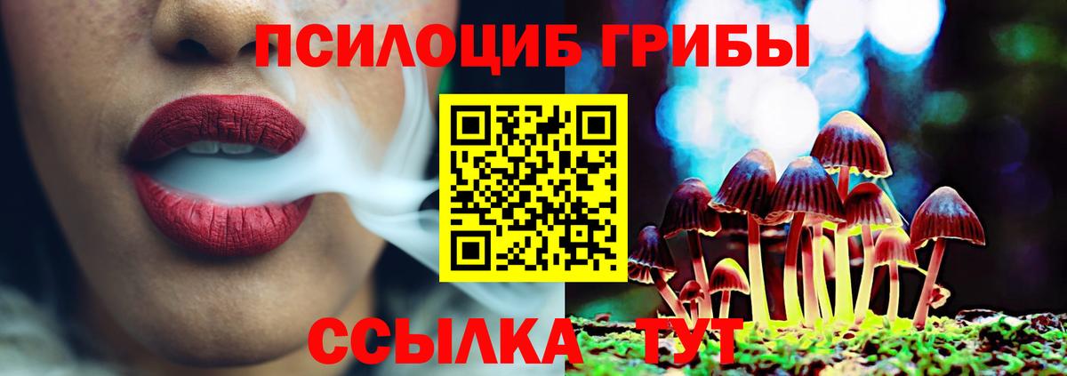 Псилоцибиновые грибы ЛСД  Вход с VPN  Когалым  наркота  Галлюциногенные грибы мицелий 